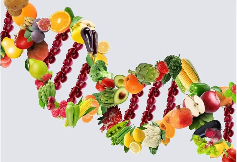 Nutrigenética y Nutrigenómica